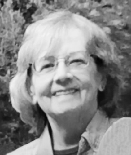 Joyce Ann Schultze